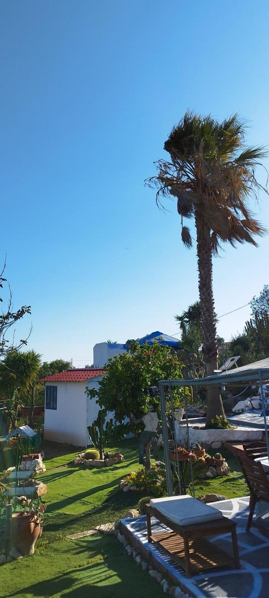 Appartement Kynosoura'S Sea View à Ambelakia Extérieur photo